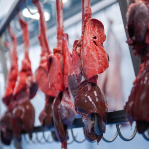 Meatmax Abattoir L'arbaa - Algerie 7