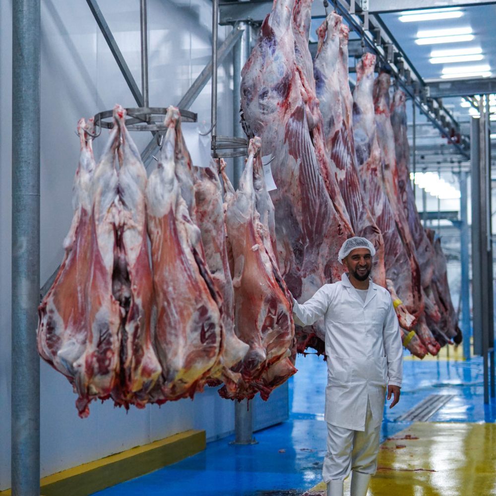 Meatmax Abattoir L'arbaa - Algerie 10