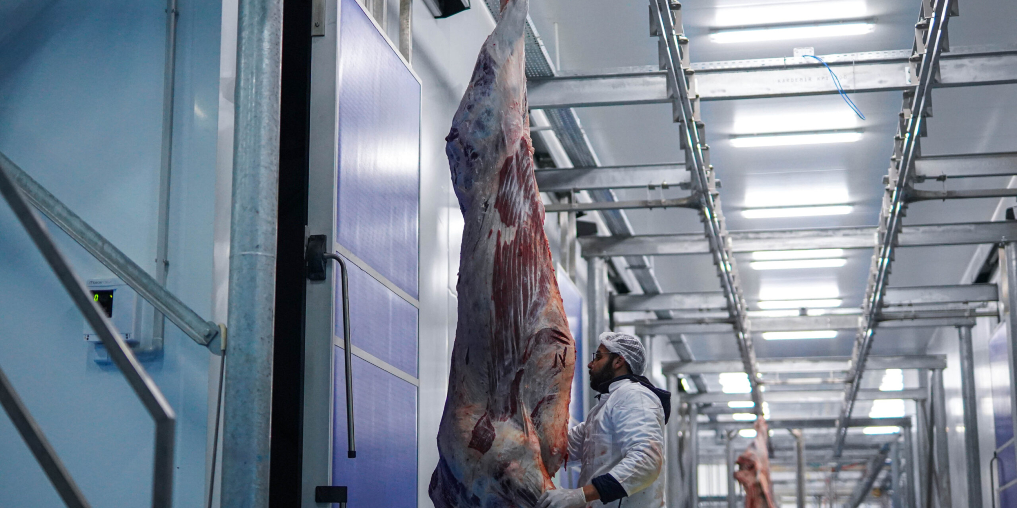 Meatmax Abattoir L'arbaa - Algerie 9